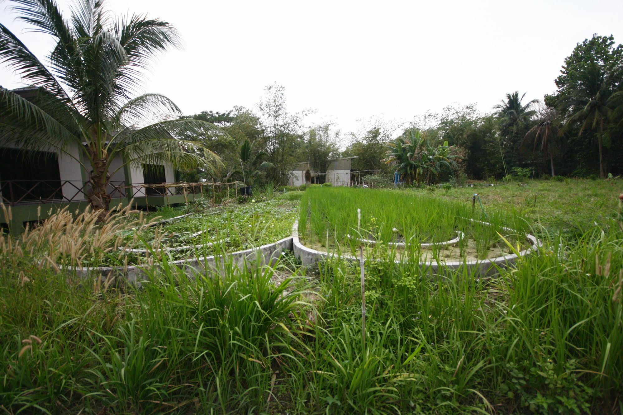 Long Lake Resort Chonburi Exterior foto