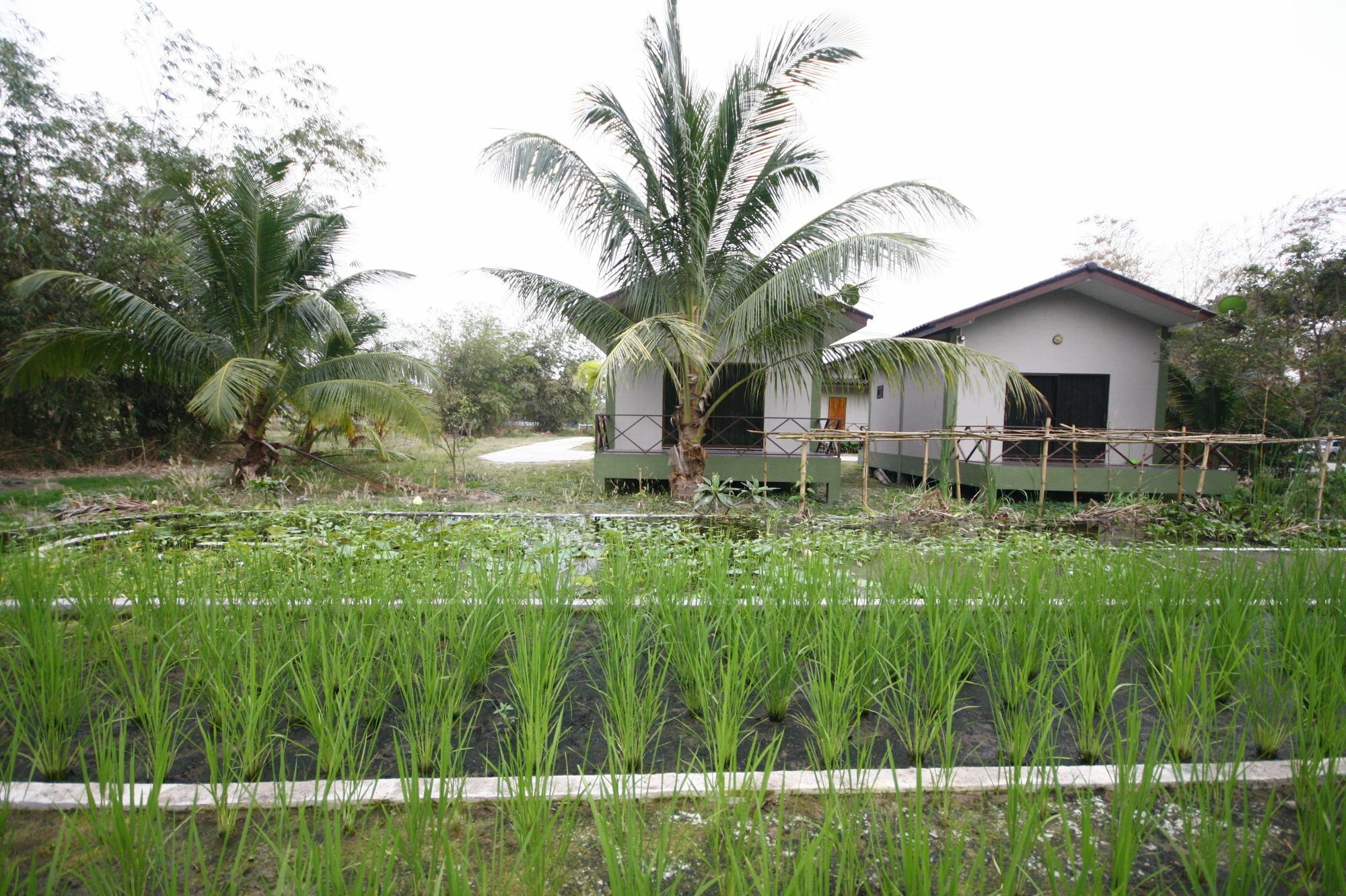 Long Lake Resort Chonburi Exterior foto